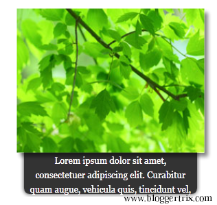 Image+With+Description+Hover+Effect+By+Using+CSS3