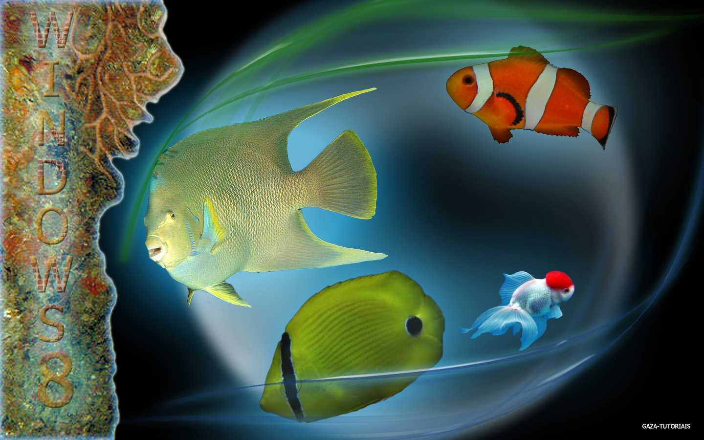 http://4.bp.blogspot.com/-oDkrVuoDkac/T2AARR14zAI/AAAAAAAAA2I/XWnGNgZaeAg/s1600/Ornanmental_Windows8.jpg