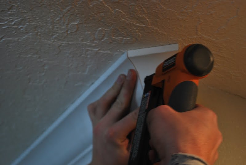 Loving Your Space Crown Molding