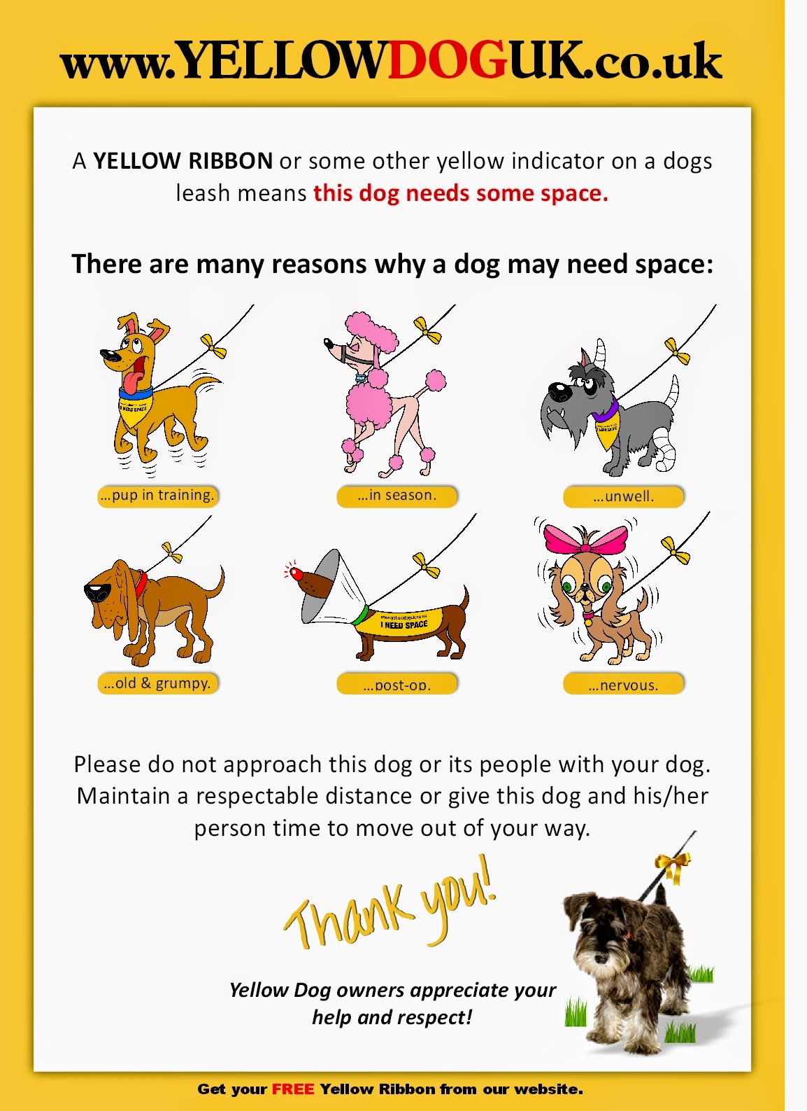 News What does a yellow ribbon on a leash mean?