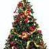 christmas tree histroy