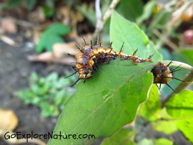 Ideas for getting outside & into nature with kids in March Ideas for getting outside & into nature with kids in March