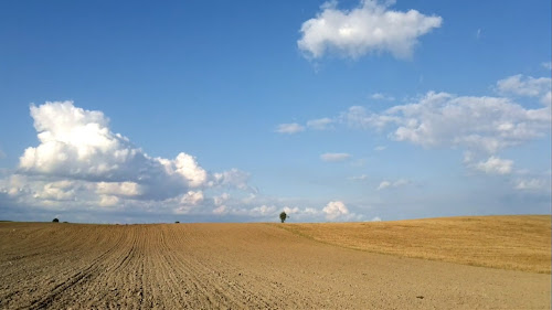 snapshot20110930133841.jpg