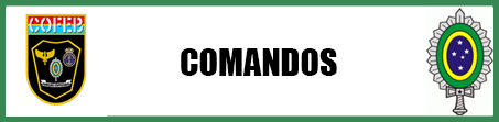Manual Exercito ( COFEB ) Comandos