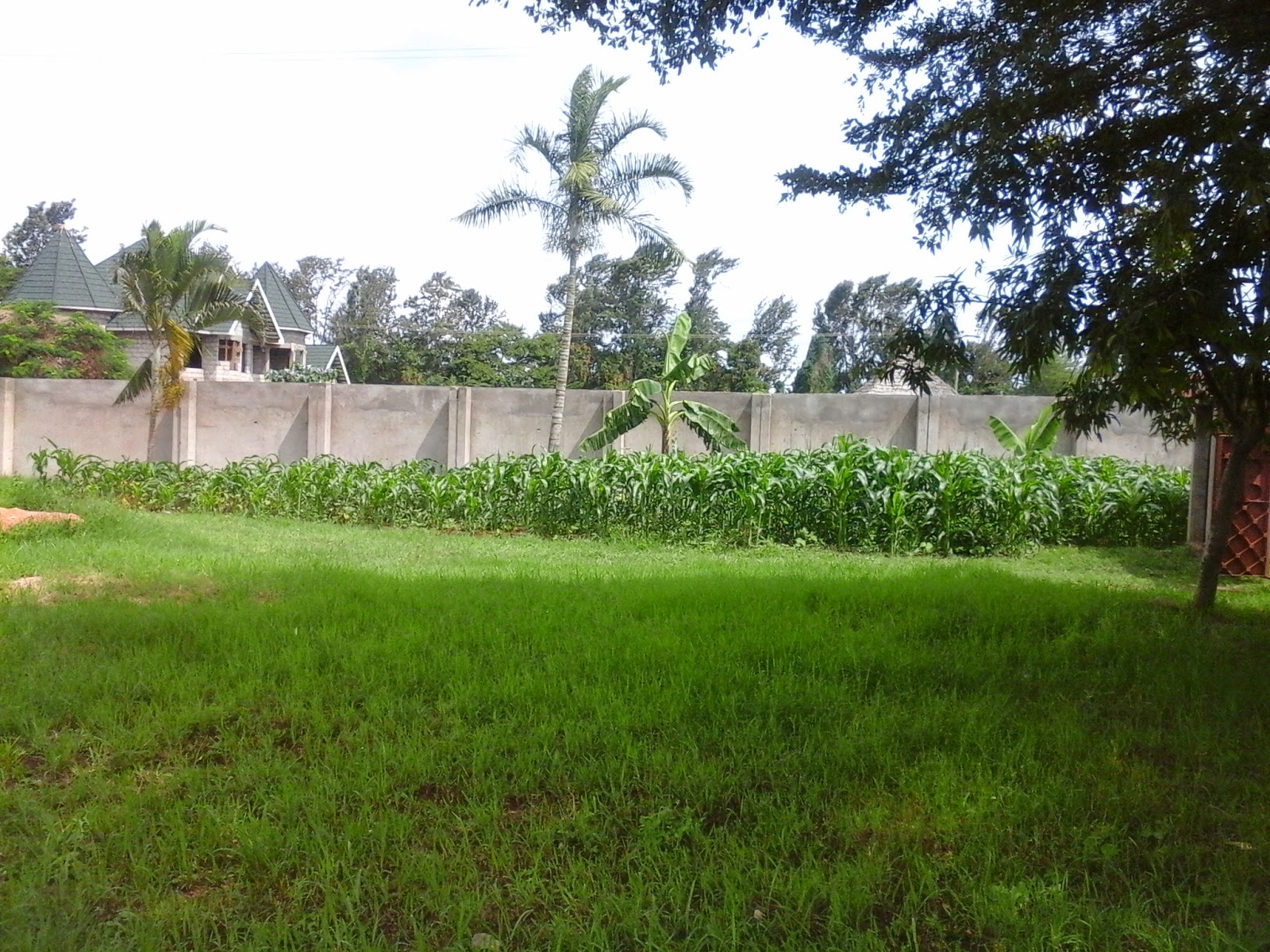 Rent House In Tanzania Arusha Rent Houses Houses For Sale House Rent House In Tanzania Arusha Rent Houses Houses For Sale House