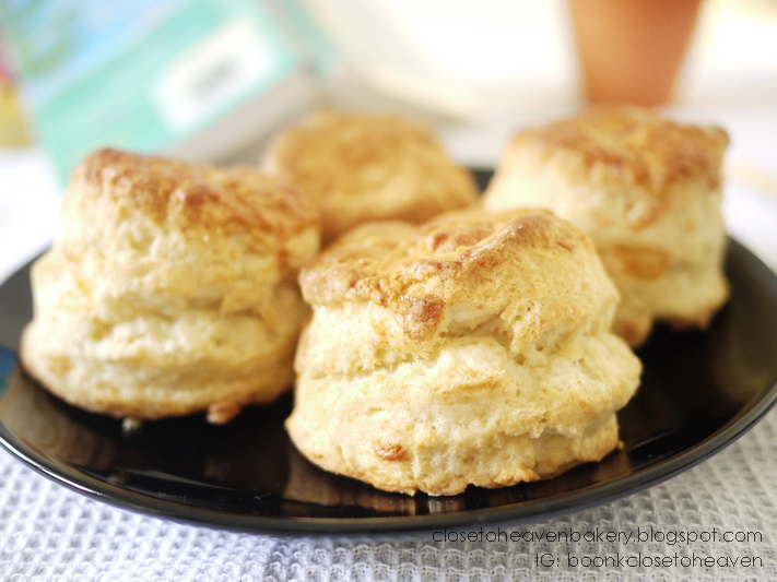 Cheddar Buttermilk Biscuits with Tuna Spread