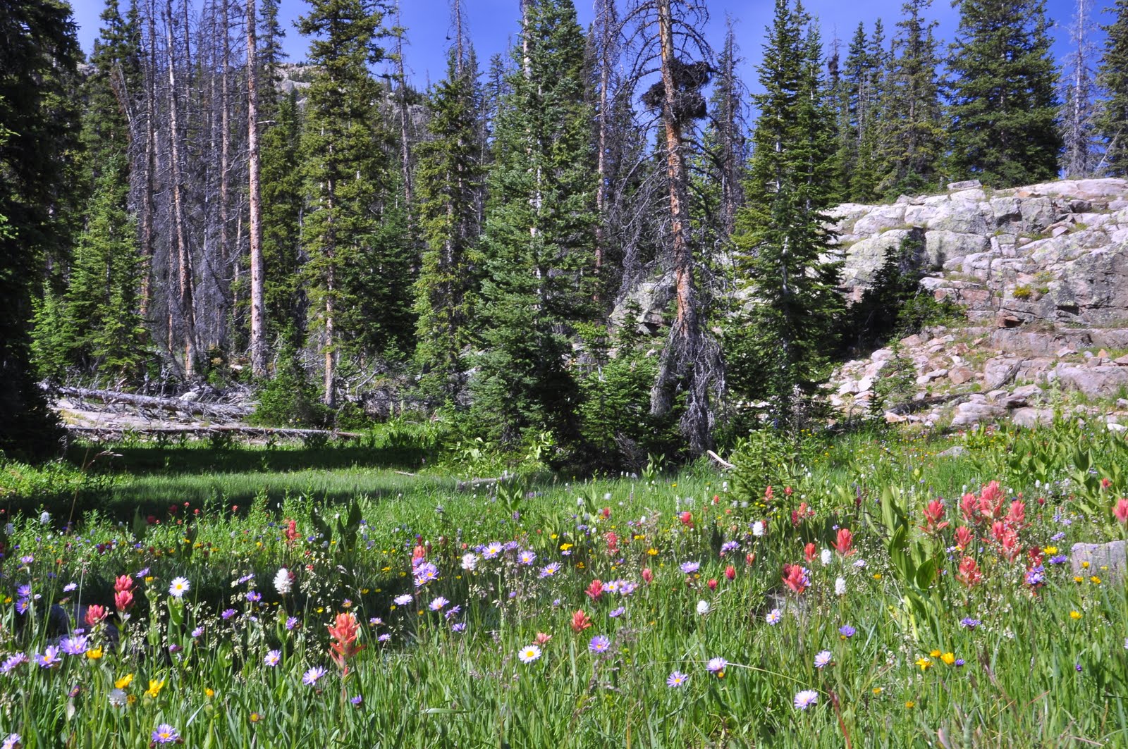 Grandma Nae Designs... Camping in the High Uintas "Hike to Ruth's Lake"