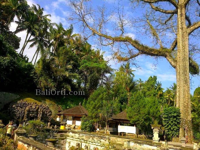 Goa Gajah was first discovered by people from the Netherlands Goa Gajah was first discovered by people from the Netherlands
