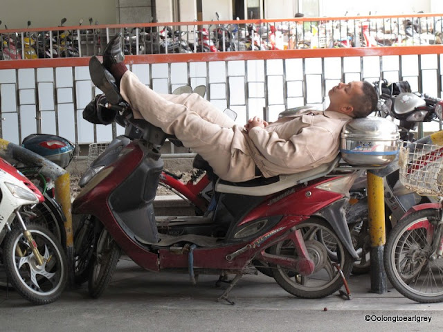 Shanghai Napper Robyn's Nappers