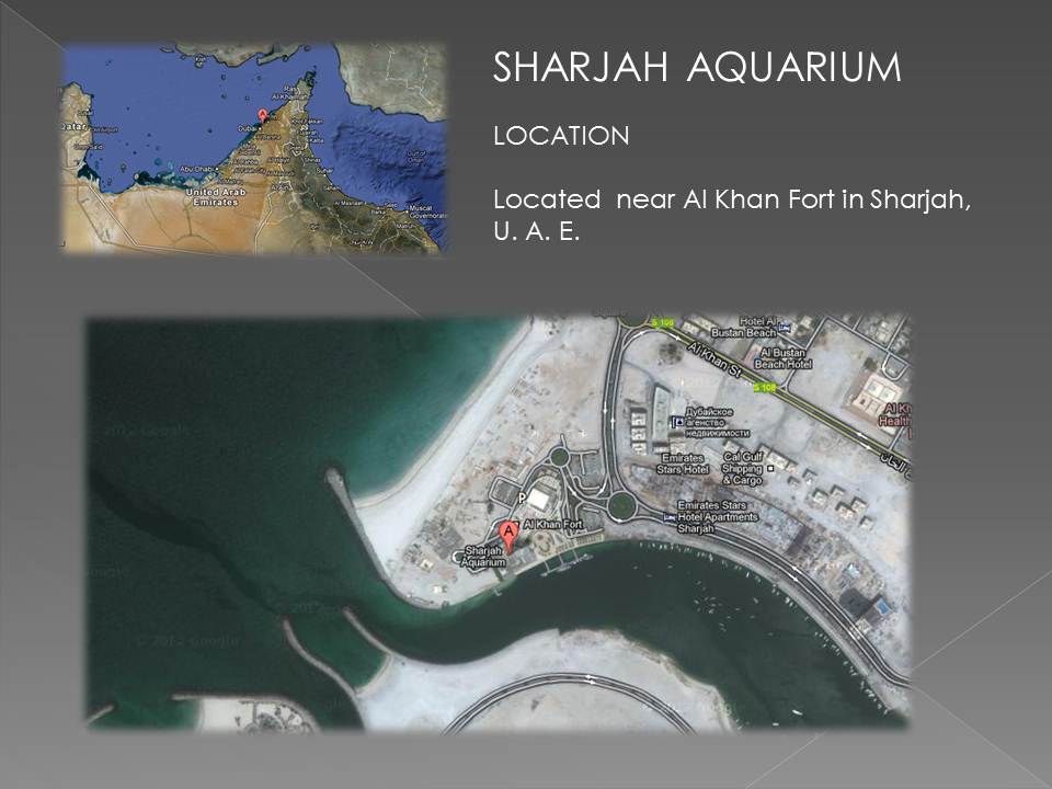 Oceanarium project image