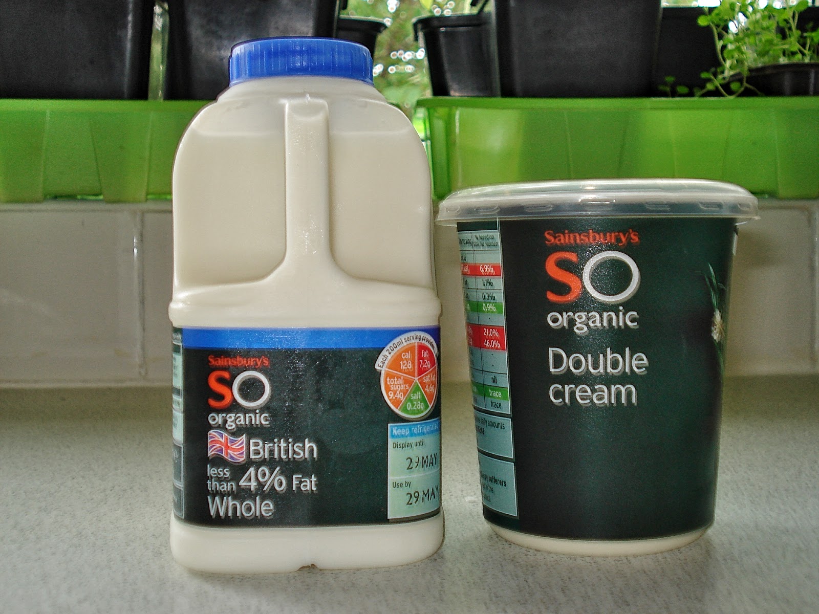 White Chocolate SCD Gluten Free SCD and Veggie