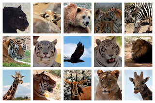 Sedona Grand Canyon Antelope Canyon Photography trip: SUNDAY: Out of