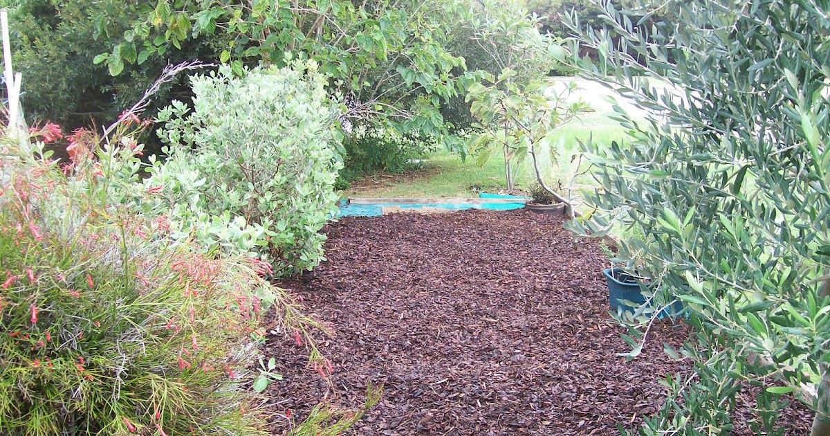 Sustainable Sisters Team: Front No Dig Garden - Mulch