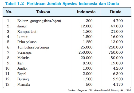 The Other Story Persebaran Tumbuhan Flora Di Indonesia