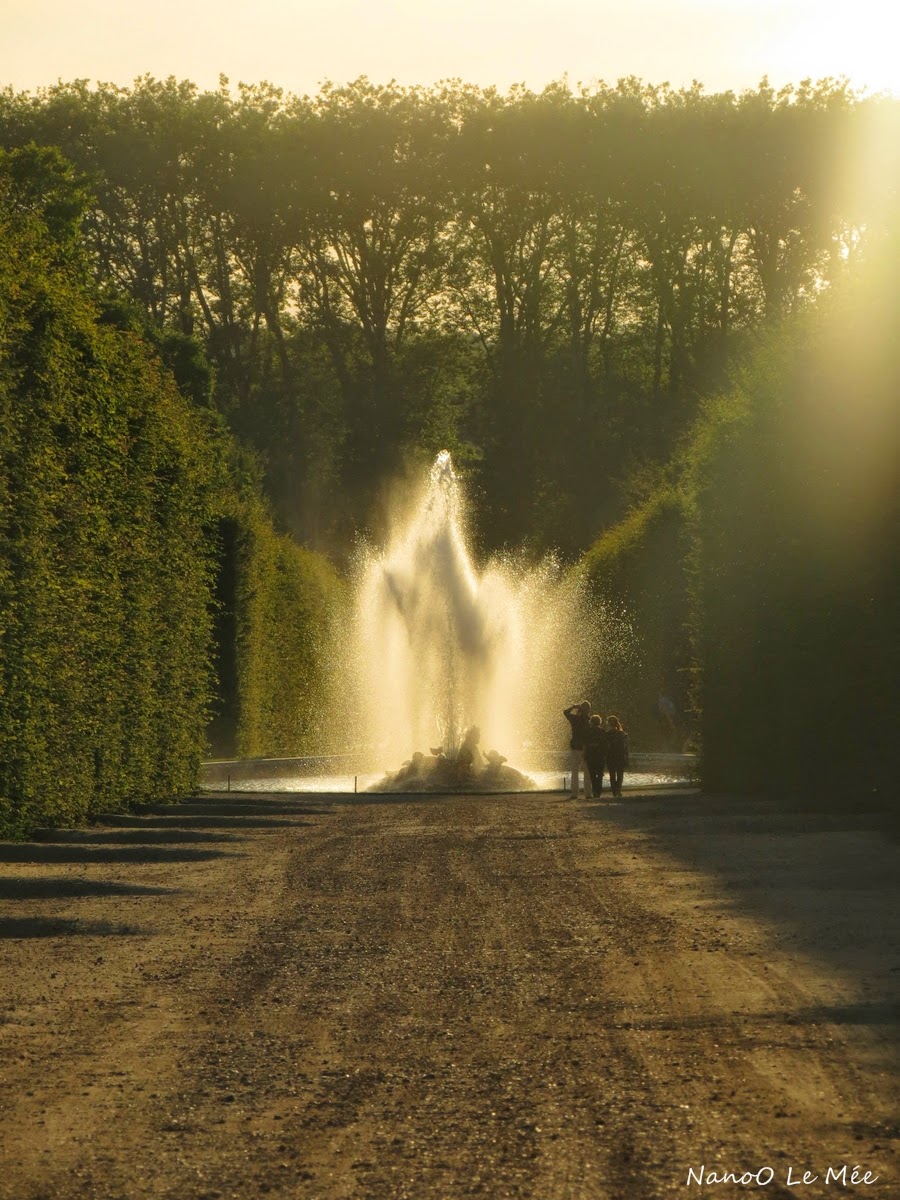 Grandes eaux nocturnes - Versailles