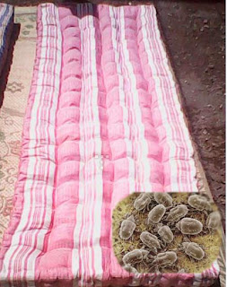 kasur bekas