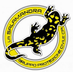 La Salamandra