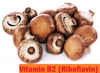 Sumber Vitamin B2