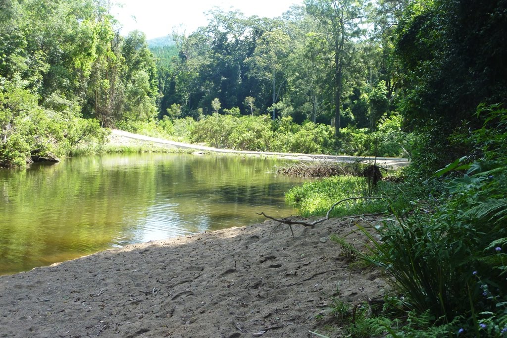 National Park Odyssey Return to Charlie Moreland Camping Area, Imbil