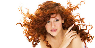 Beauty Supplies Online: What Matters In a Salon Business Beauty Supplies Online: What Matters In a Salon Business