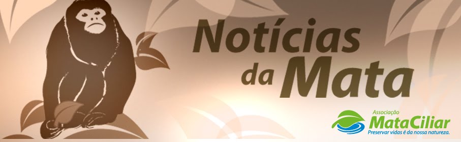 Notícias da Mata