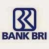 Data Rekening Bank BRI