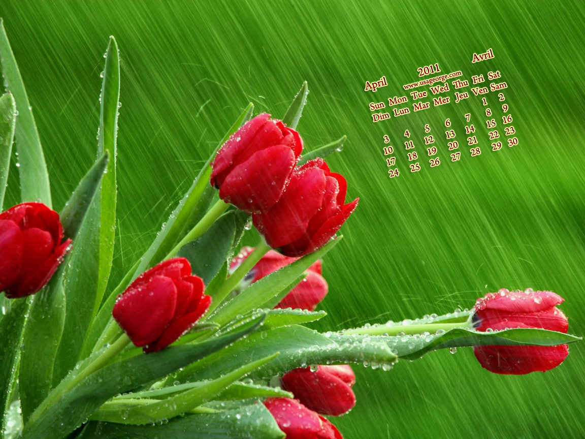 Desktop Wallpaper Calendar April 2011 : the CS Mag Desktop Wallpaper Calendar April 2011 : the CS Mag