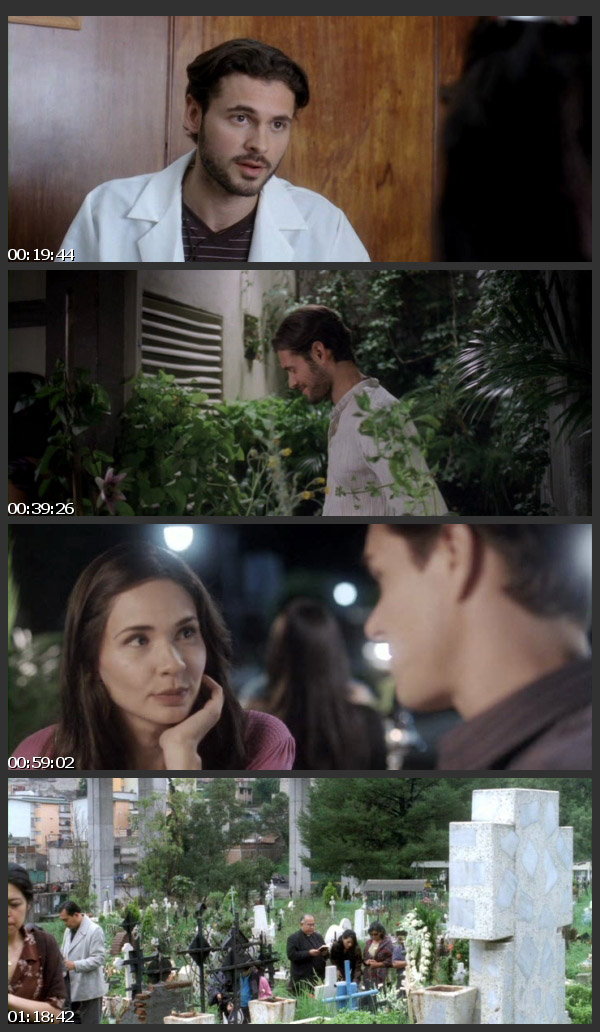 DimensionPeliculas.com