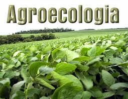 Ministério do Desenvolvimento Agrário destina R$ 1,3 mi para agroecologia na PB
