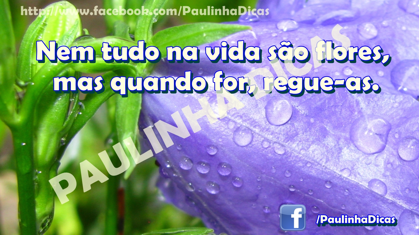 Nem tudo na vida são flores mas quando flor regue-as | Cartões Verdade