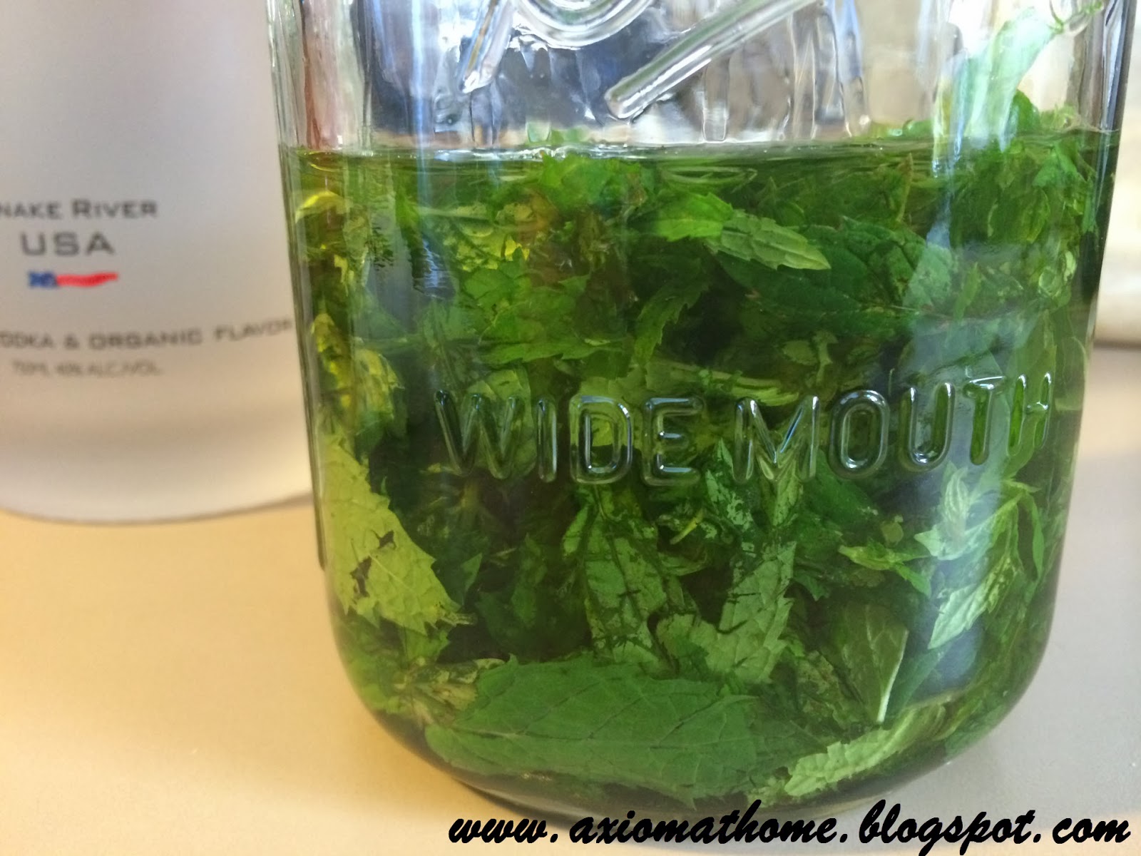 Axiom At Home Mint Extract