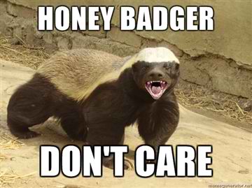 http://4.bp.blogspot.com/-oKtYdnUX44M/TumKHyBEQrI/AAAAAAAAElQ/cJp7edGeQuk/s1600/Honey-Badger-Dont-Care.jpg