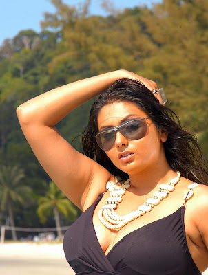 Actress Namitha High Quality Bikini Hot Photos