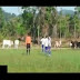 بالفيديو: قطيع من الأبقار الجائعة يقتحم ملعب كرة قدم    