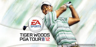 tiger wood
