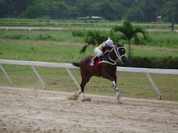 Haskell: tercer triple coronado en la historia del hipismo valenciano