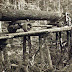Logging bridge and logging truck, good photo