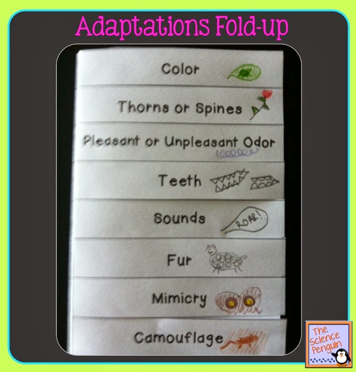 Science Penguin's Science Plans Adaptations — The Science Penguin