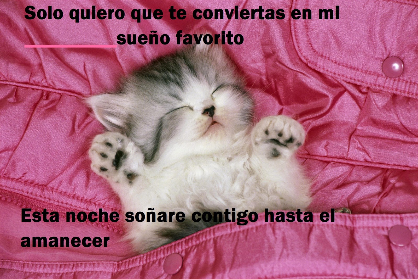 Mensajes de amor Las imágenes mas lindas con mensajes para descargar Las imágenes mas lindas con mensajes para descargar