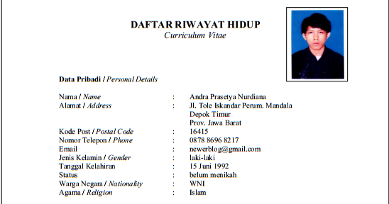 Contoh Cv Contoh Cv