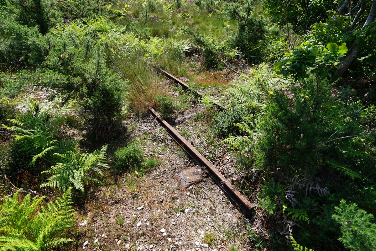 Narrow Gauge at Browndown