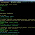 Browsing Internet Menggunakan Command Prompt