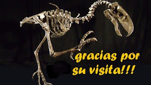 Gracias por su visita