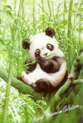 makoto muramatsu panda