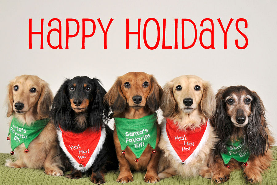 Happy Holidays, Season's Greetings and all that