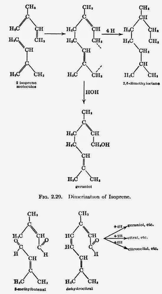 Terpene synthesis from 3-Methylbutenal.