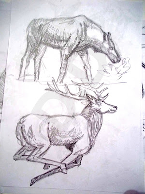 douglas deri, deri, deriart, sketchbook, sketch