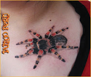 fotos de tatuajes - los mejores tatuadores estan en warriors peru: mayo 2011 tatuajes de aranas