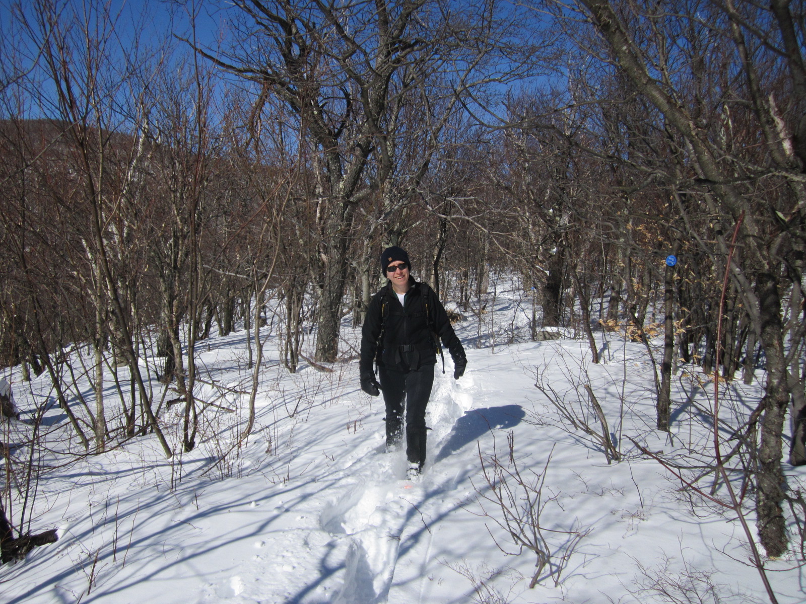 That's What She Said Snowshoe day in the Catskills