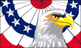 patriotic flag-eagle